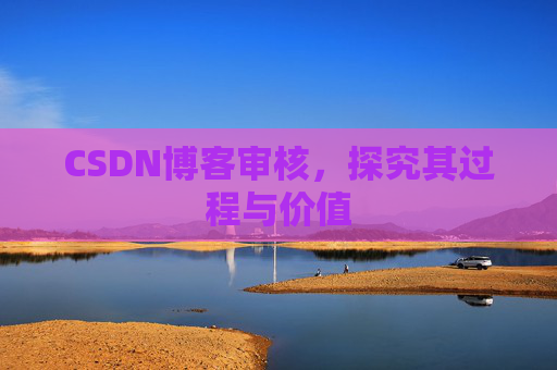 CSDN博客审核，探究其过程与价值